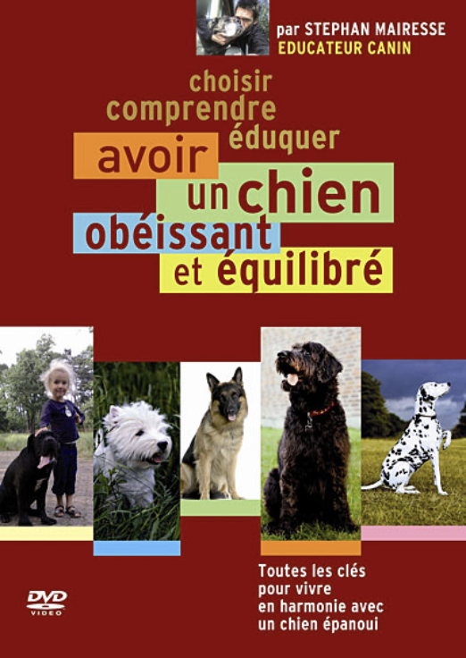 Stephan Mairesse training DVD cover